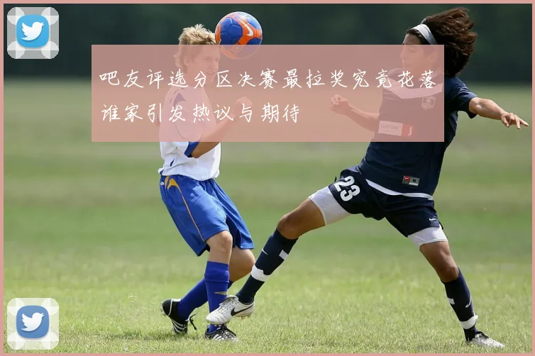吧友评选分区决赛最拉奖究竟花落谁家引发热议与期待