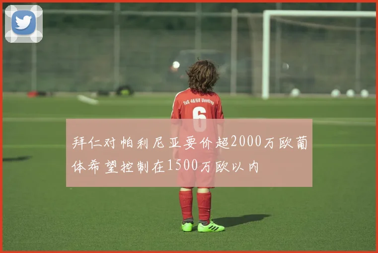 拜仁对帕利尼亚要价超2000万欧葡体希望控制在1500万欧以内